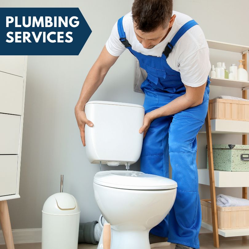 Plumbing Company in New Hudson, MI